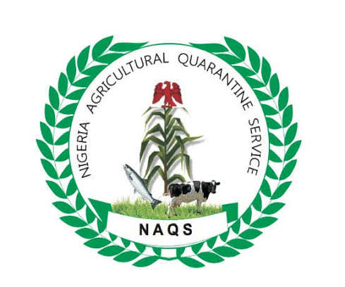 NAQS Shortlisted Candidates